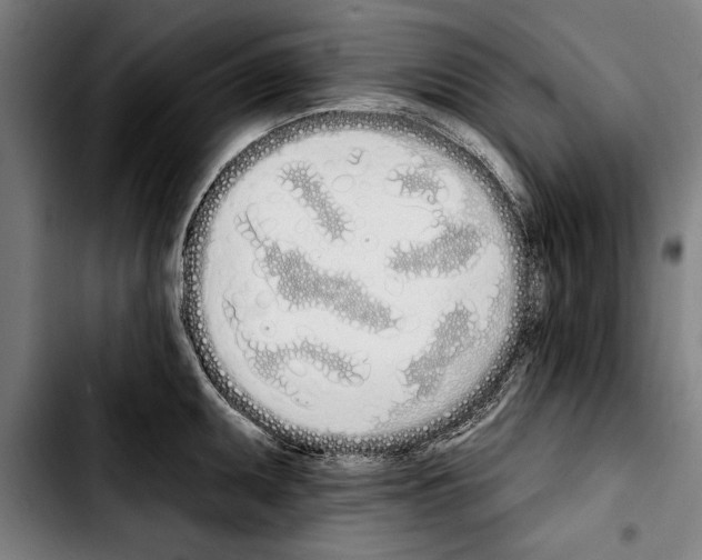 X0000103401095200810241005