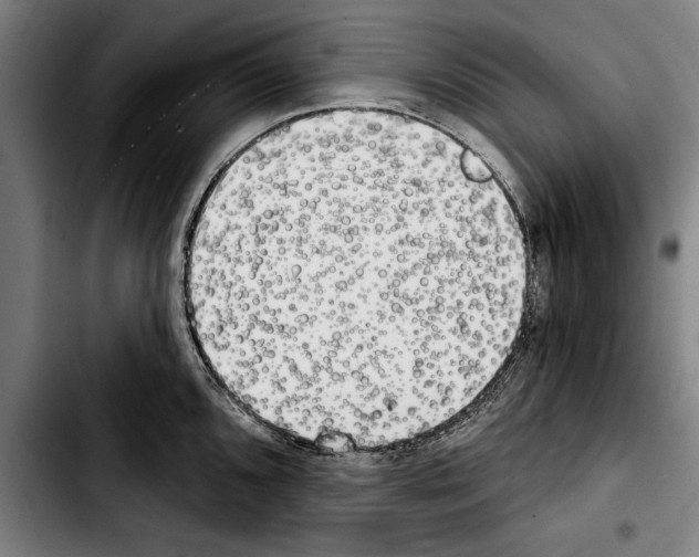 X0000103401096200810241005