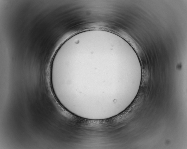 X0000103401098200810241005