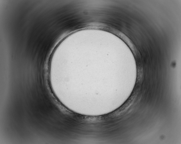 X0000103401099200810241005