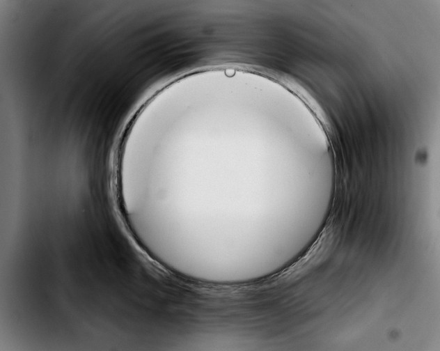 X0000103401101200810241005