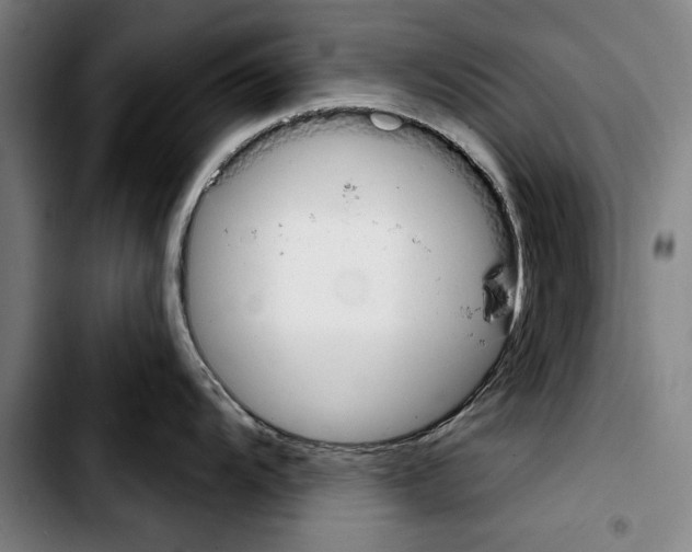 X0000103401104200810241005