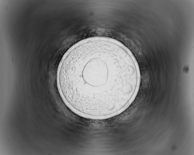 X0000103401105200810241004