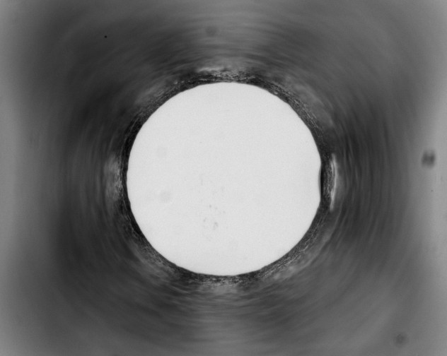 X0000103401106200810241004