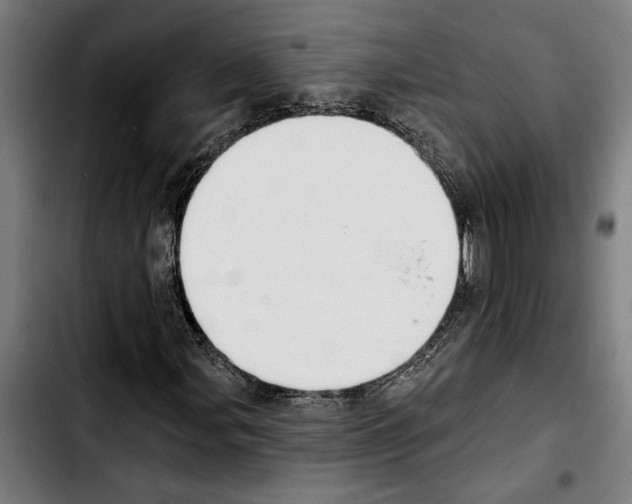 X0000103401107200810241004