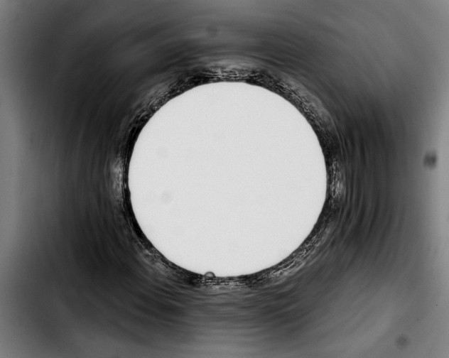 X0000103401108200810241004