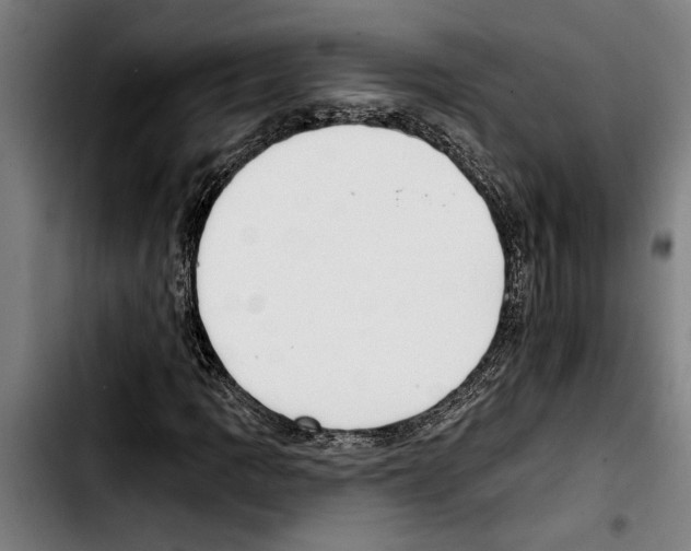 X0000103401109200810241005