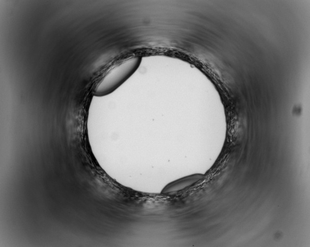 X0000103401110200810241005