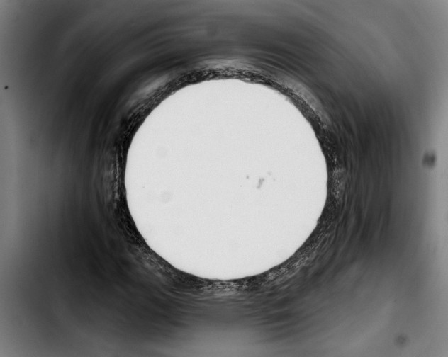 X0000103401111200810241005