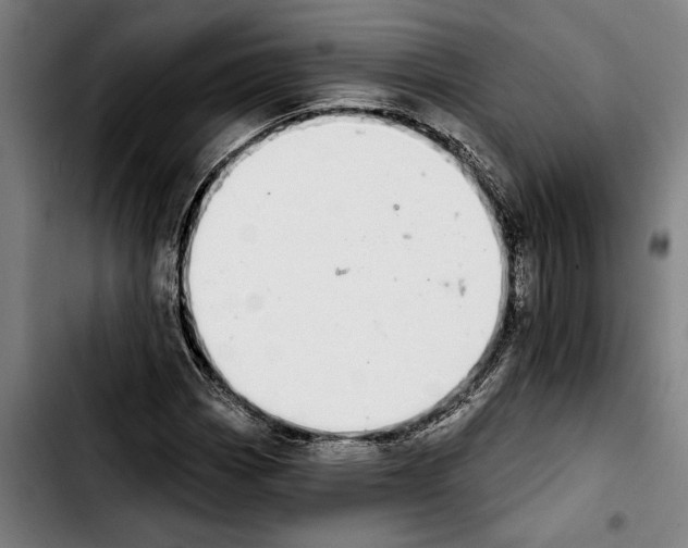 X0000103401113200810241005