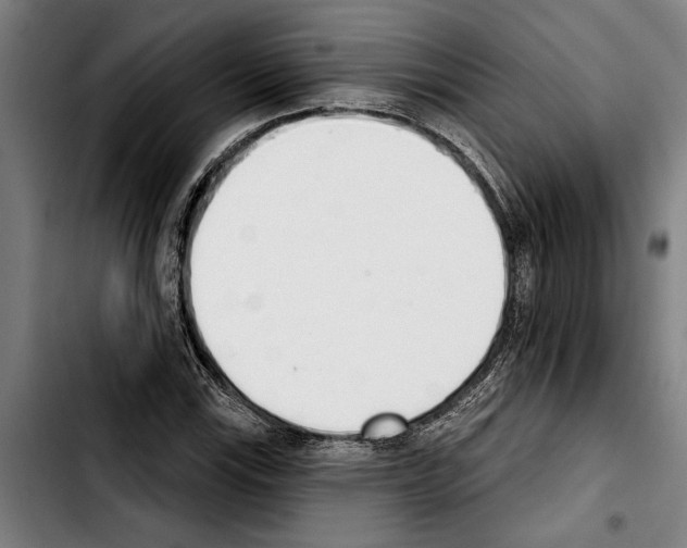 X0000103401115200810241005