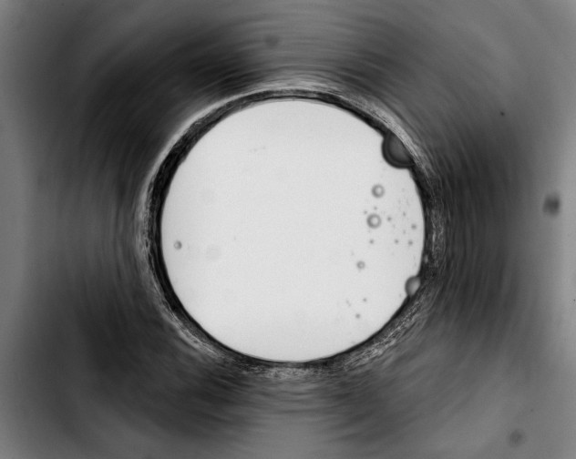 X0000103401116200810241005