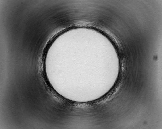 X0000103401117200810241005