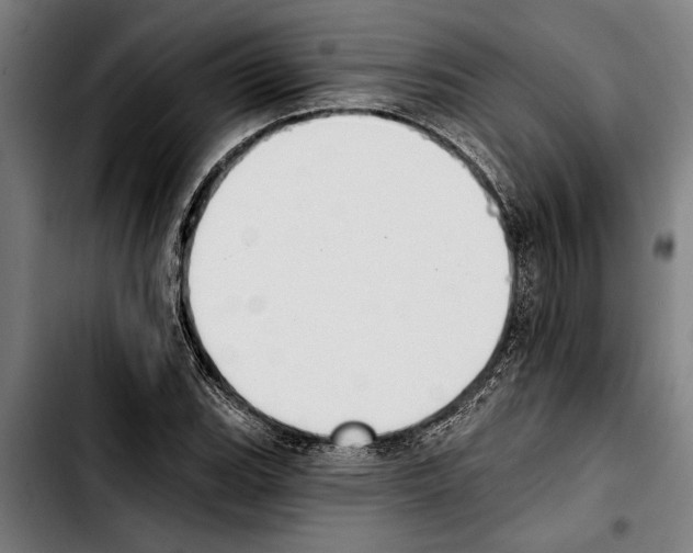 X0000103401119200810241005