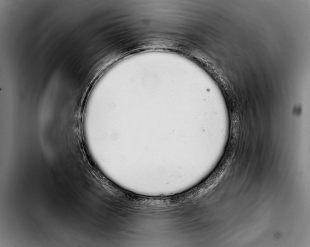 X0000103401121200810241005