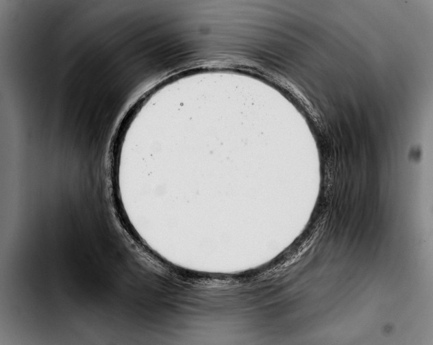 X0000103401122200810241005