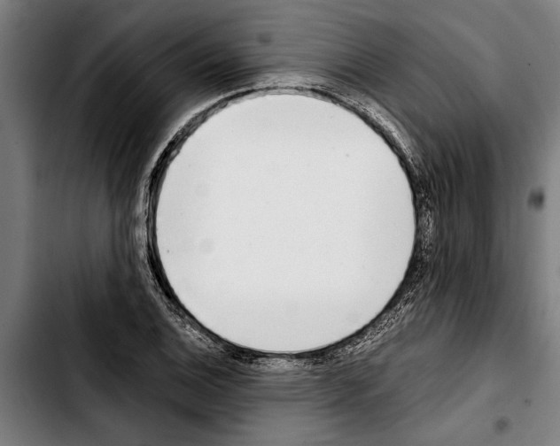 X0000103401124200810241005