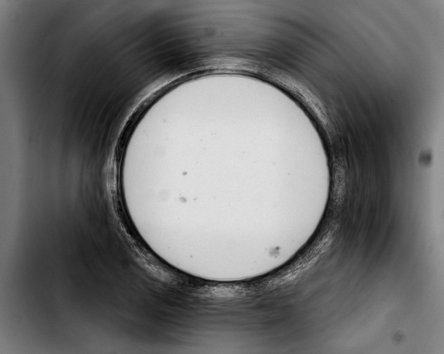 X0000103401125200810241005