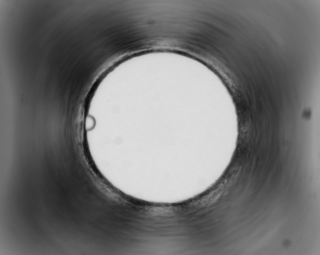 X0000103401126200810241005