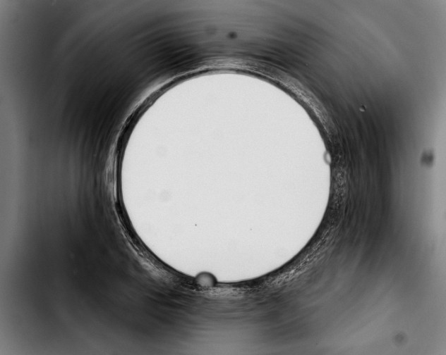 X0000103401127200810241005