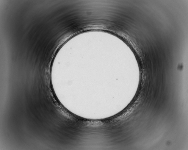 X0000103401129200810241005