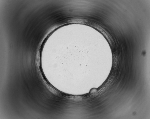 X0000103401131200810241005