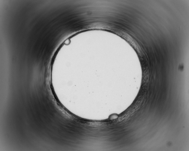 X0000103401132200810241005