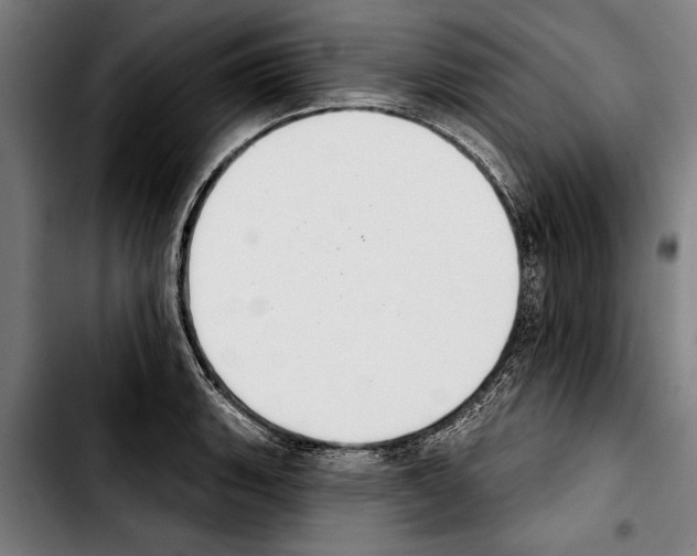 X0000103401135200810241005