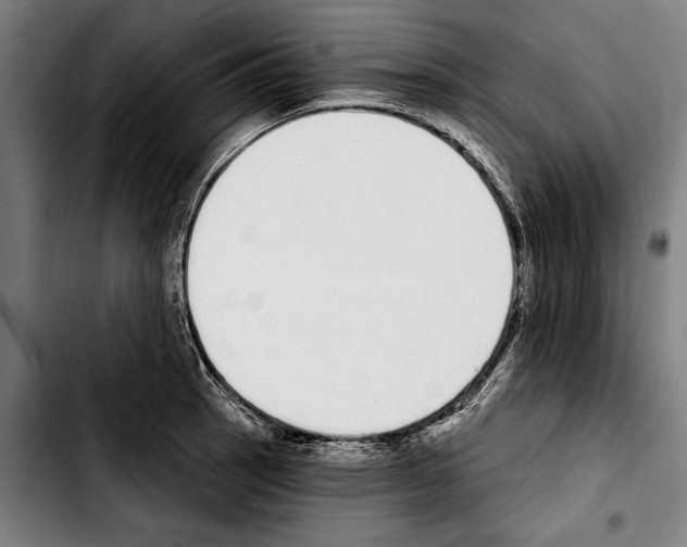 X0000103401137200810241005