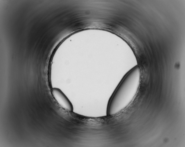 X0000103401138200810241005