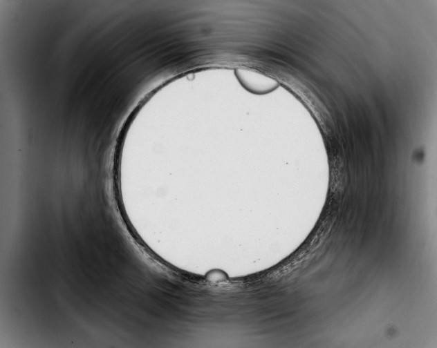 X0000103401139200810241005