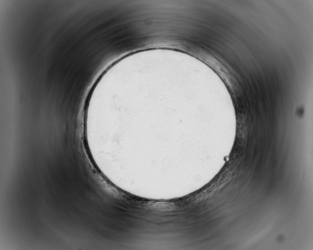 X0000103401140200810241005