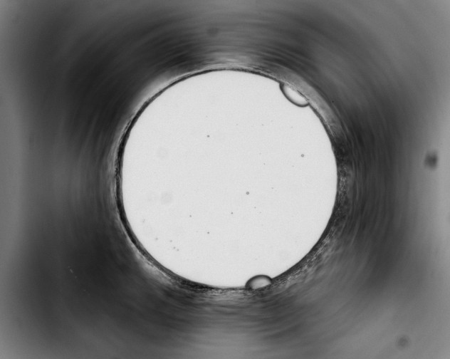 X0000103401143200810241005