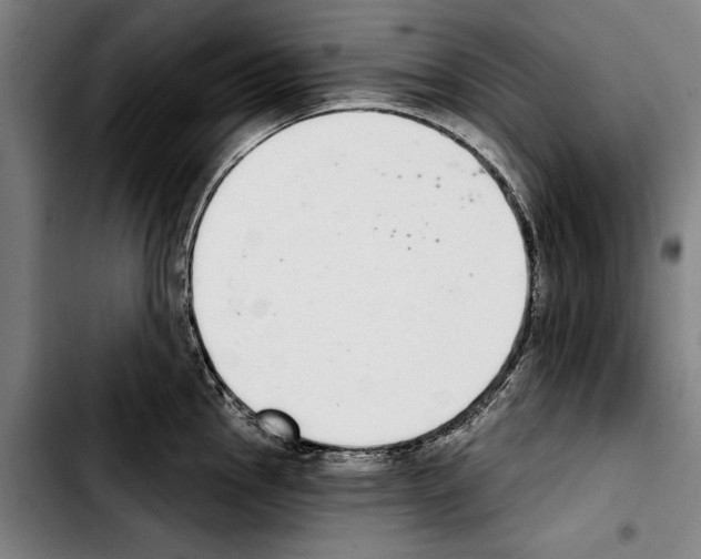 X0000103401145200810241005