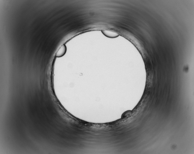 X0000103401146200810241005