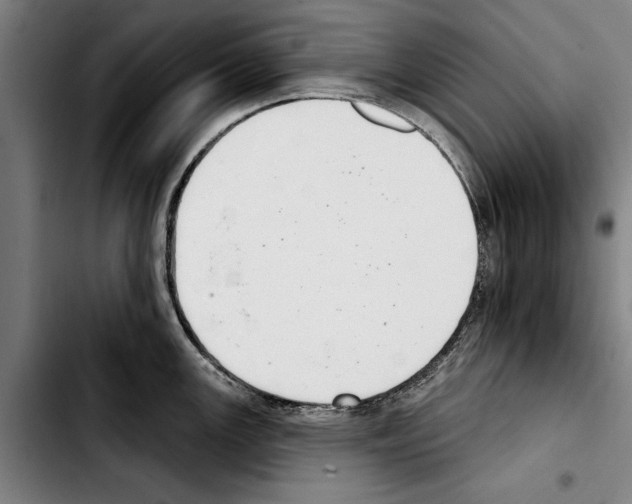 X0000103401147200810241005