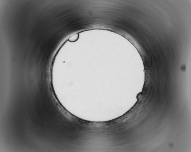 X0000103401148200810241005