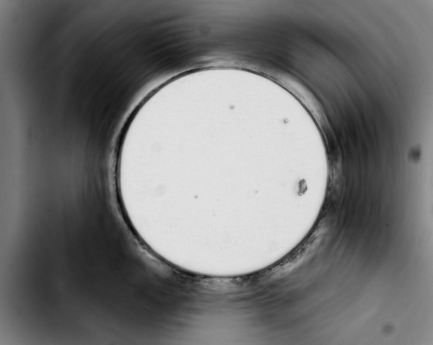 X0000103401149200810241005