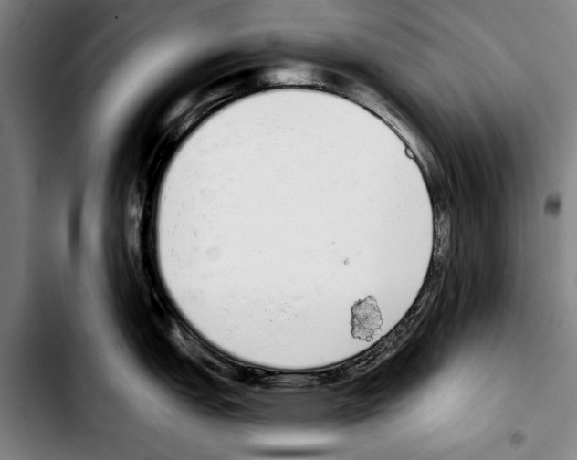 X0000103401151200810241005