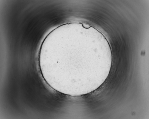 X0000103401152200810241005