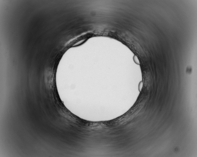 X0000103401154200810241004