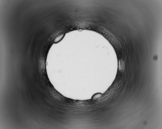 X0000103401155200810241004