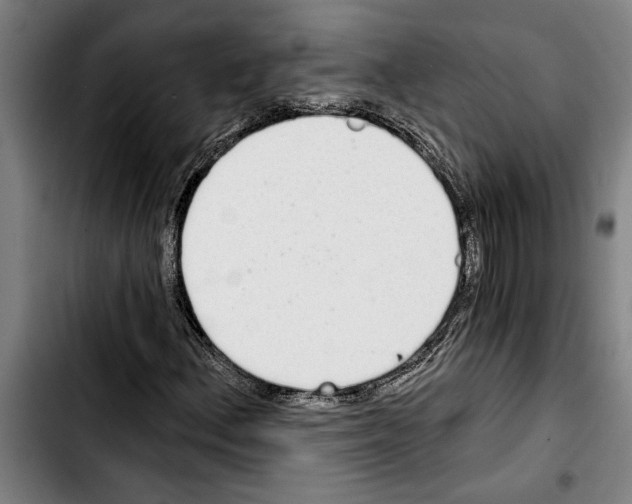 X0000103401156200810241004