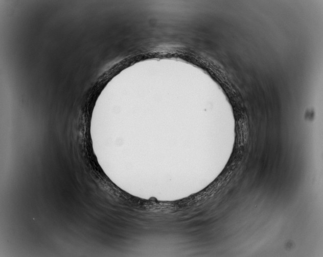 X0000103401158200810241004