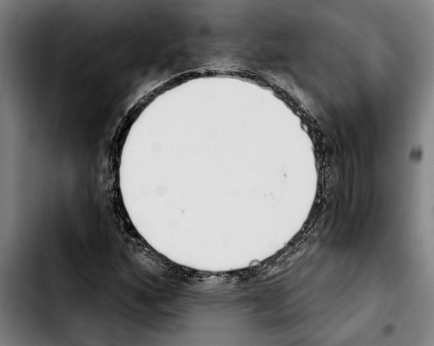 X0000103401160200810241004