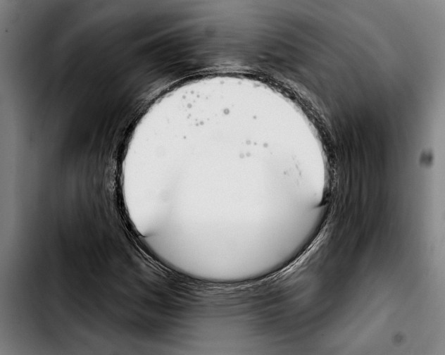 X0000103401161200810241004