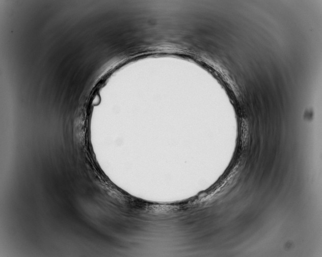 X0000103401163200810241004