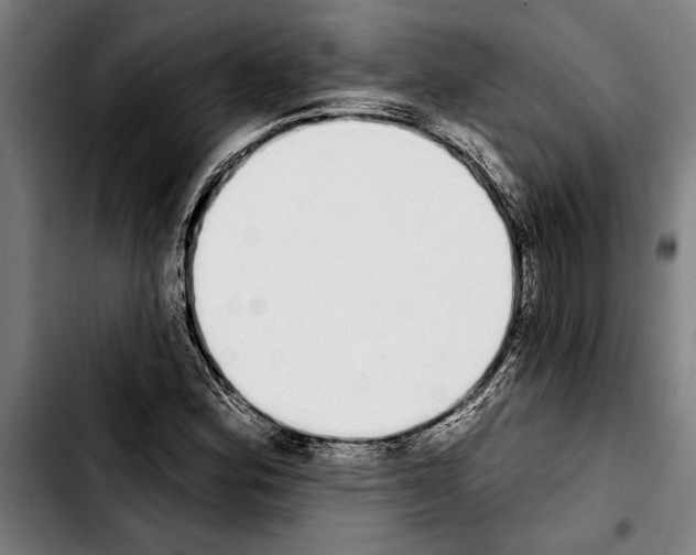 X0000103401164200810241004