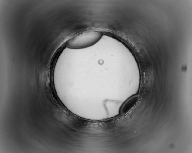 X0000103401165200810241004