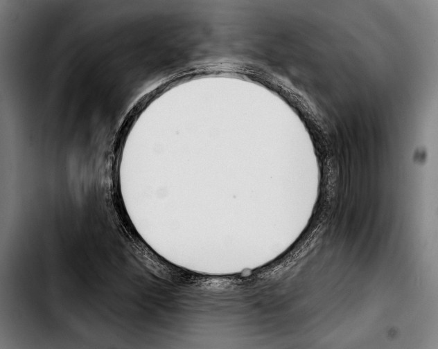 X0000103401166200810241004